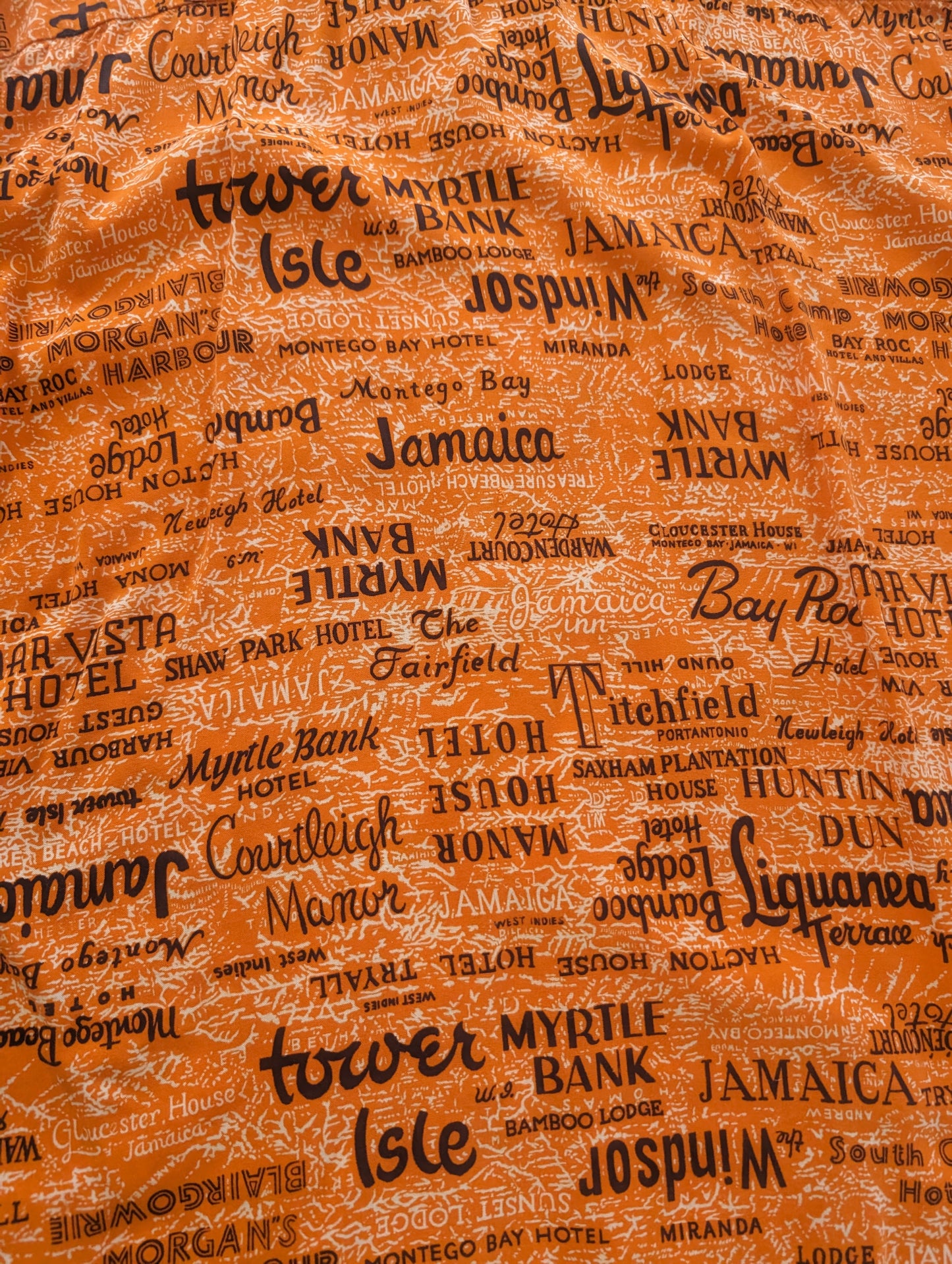 1950s tourism shirt Shirt Rad Bonnie's Vintage