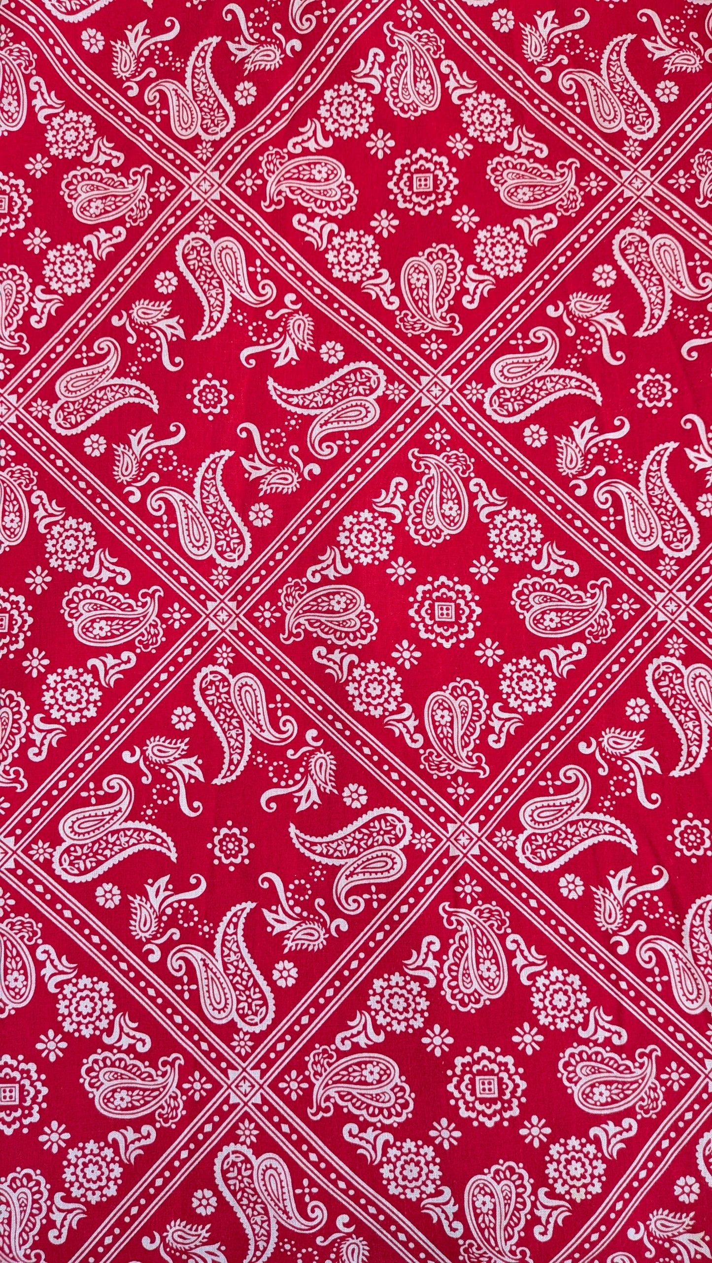 1960s bandana top Top Rad Bonnie's Vintage
