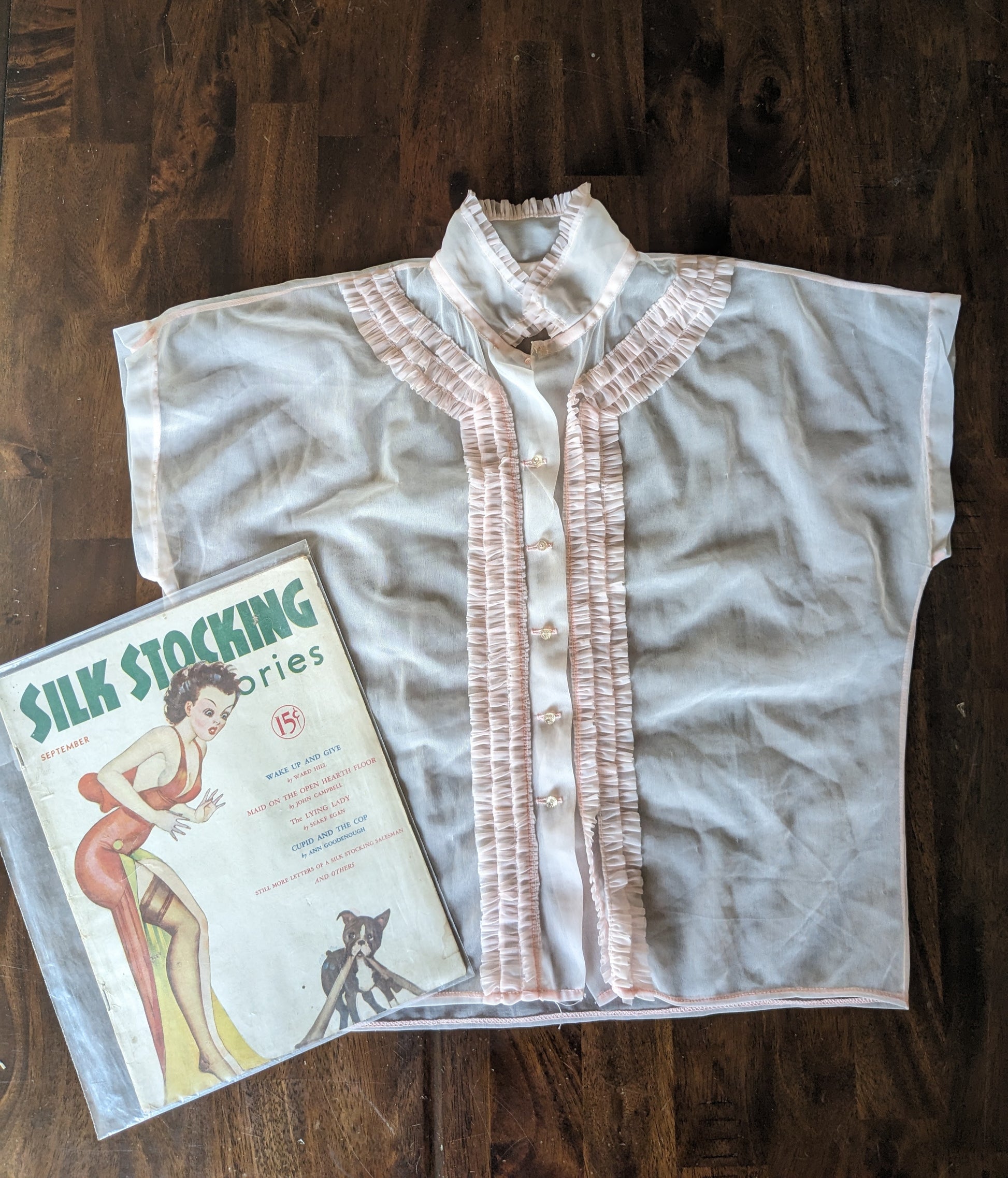 1970s pink sheer top Top Rad Bonnie's Vintage