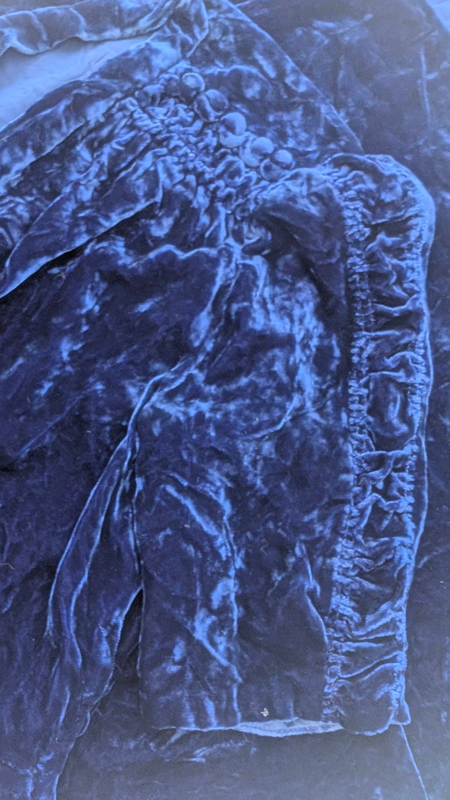 1930s velvet dress