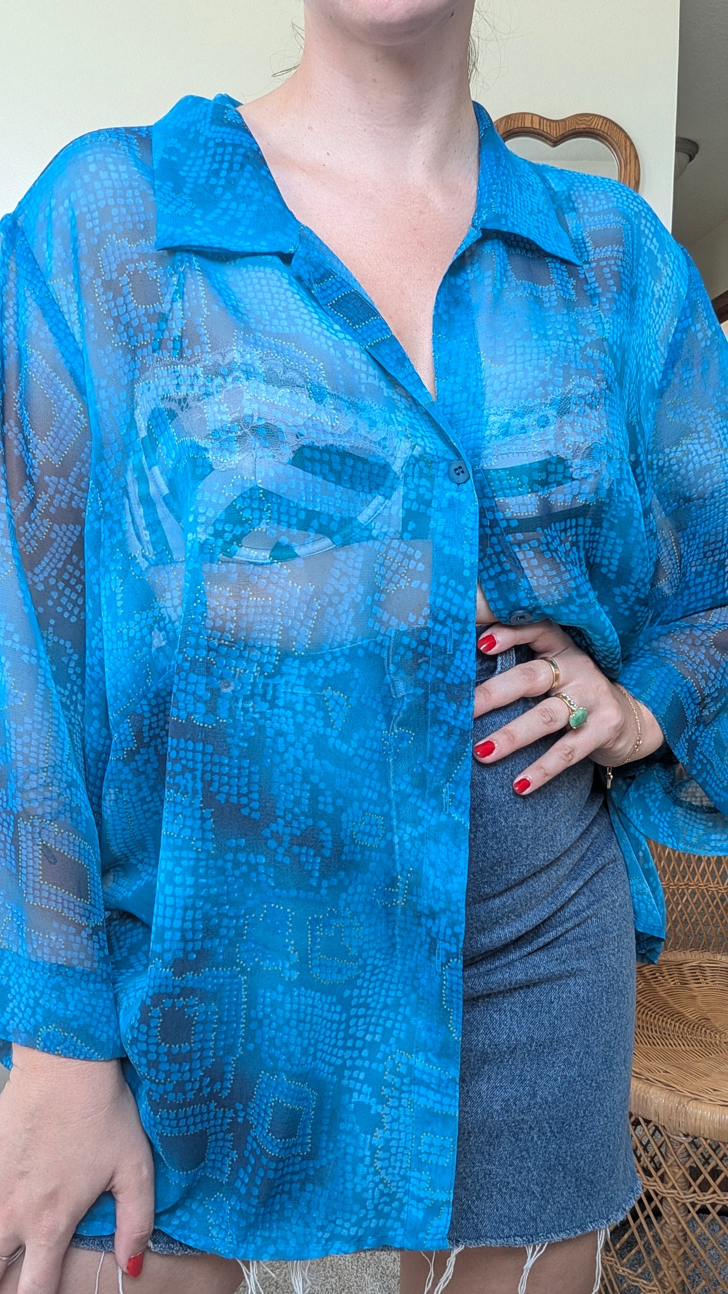 1990s sheer top